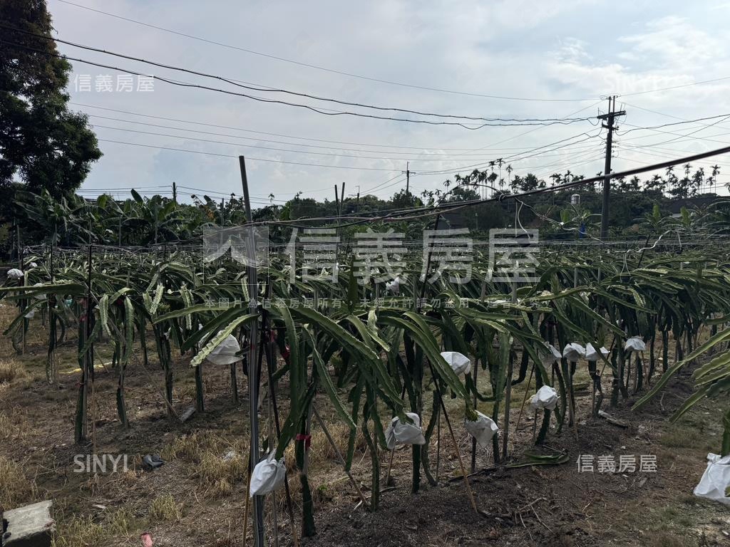 ★專任！集集臨路開心農場房屋室內格局與周邊環境