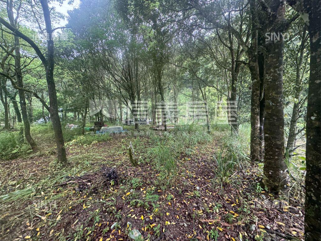 坪林土地房屋室內格局與周邊環境