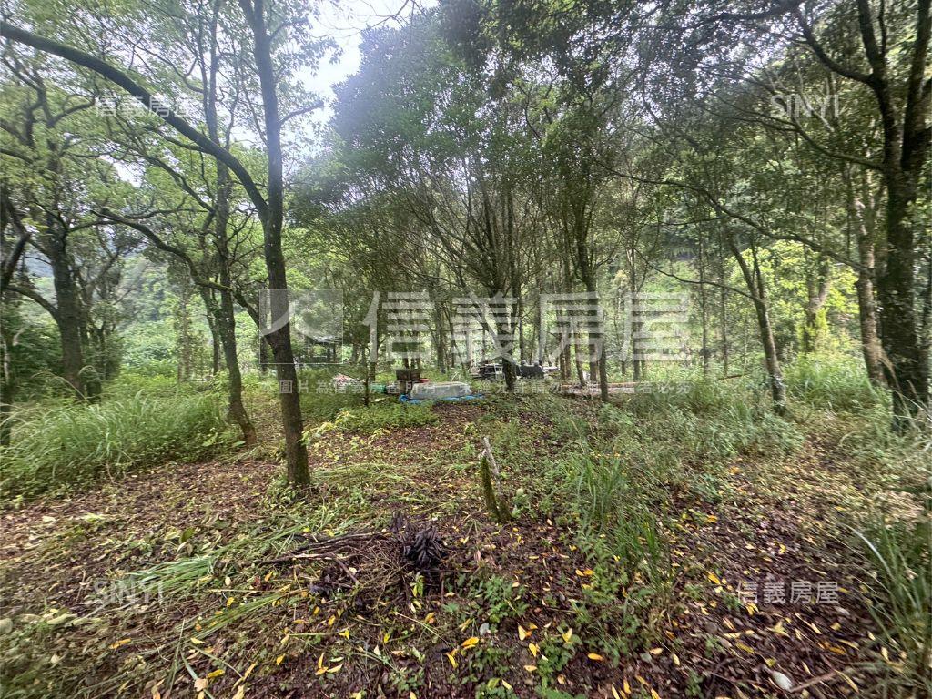 坪林土地房屋室內格局與周邊環境