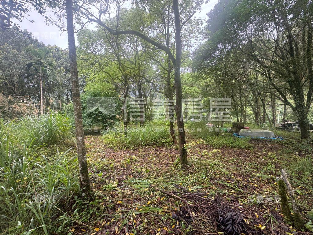 坪林土地房屋室內格局與周邊環境