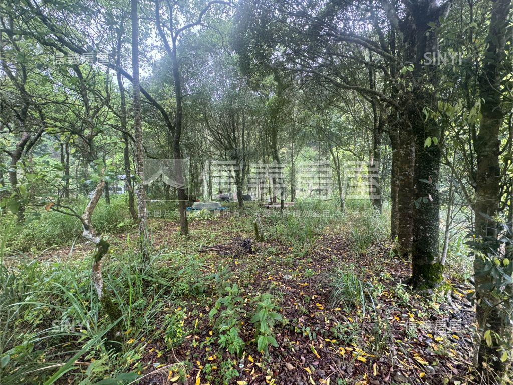 坪林土地房屋室內格局與周邊環境