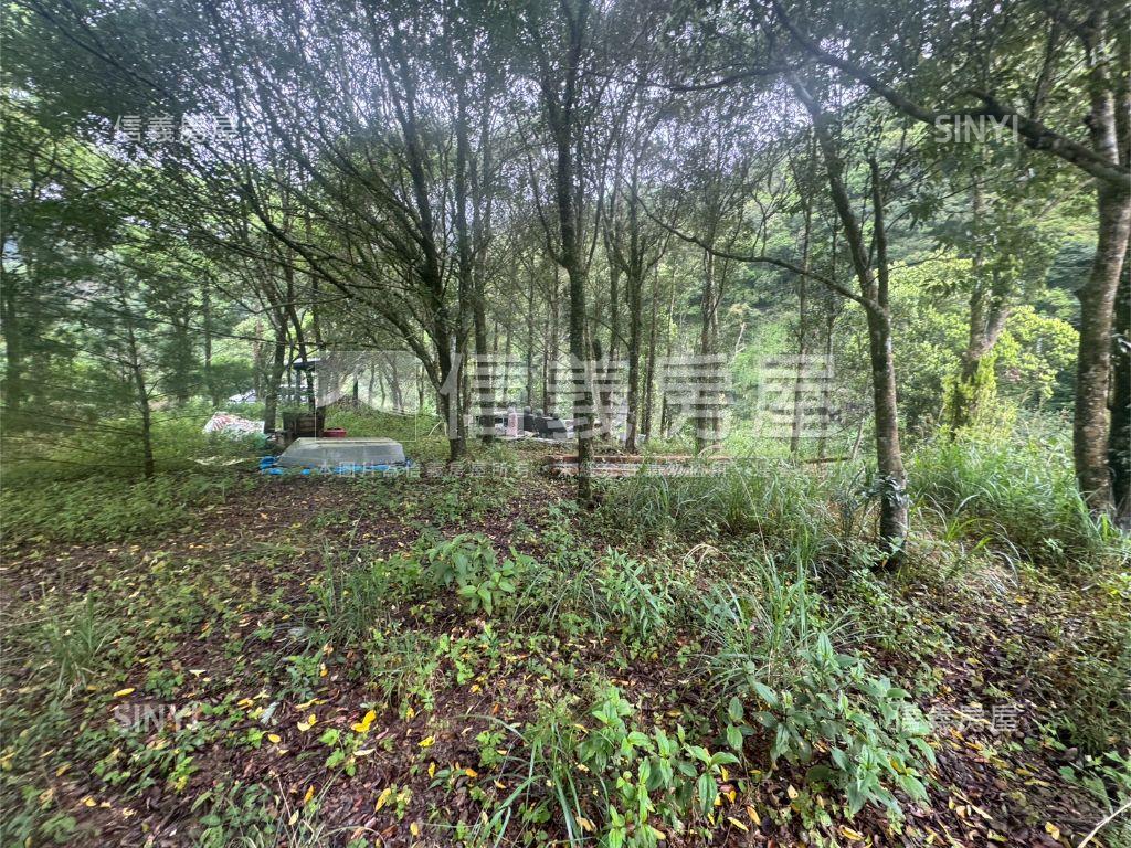 坪林土地房屋室內格局與周邊環境