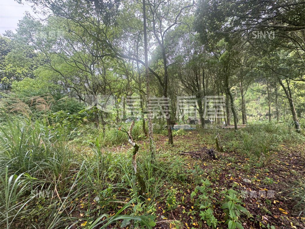 坪林土地房屋室內格局與周邊環境