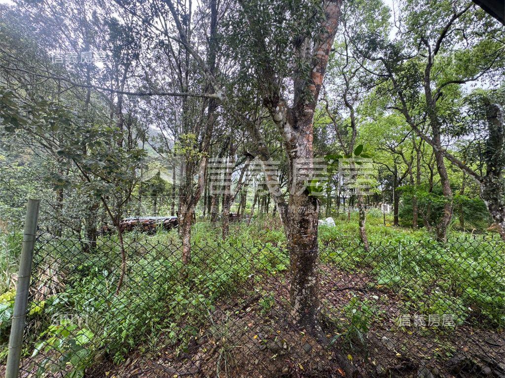 坪林土地房屋室內格局與周邊環境