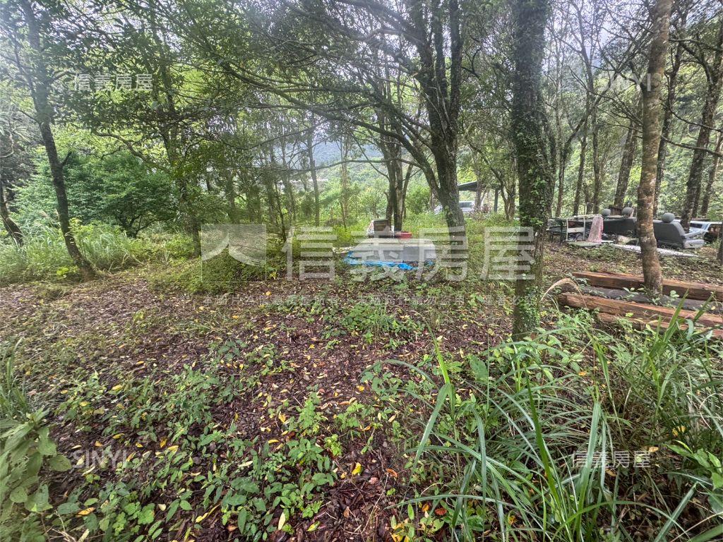 坪林土地房屋室內格局與周邊環境