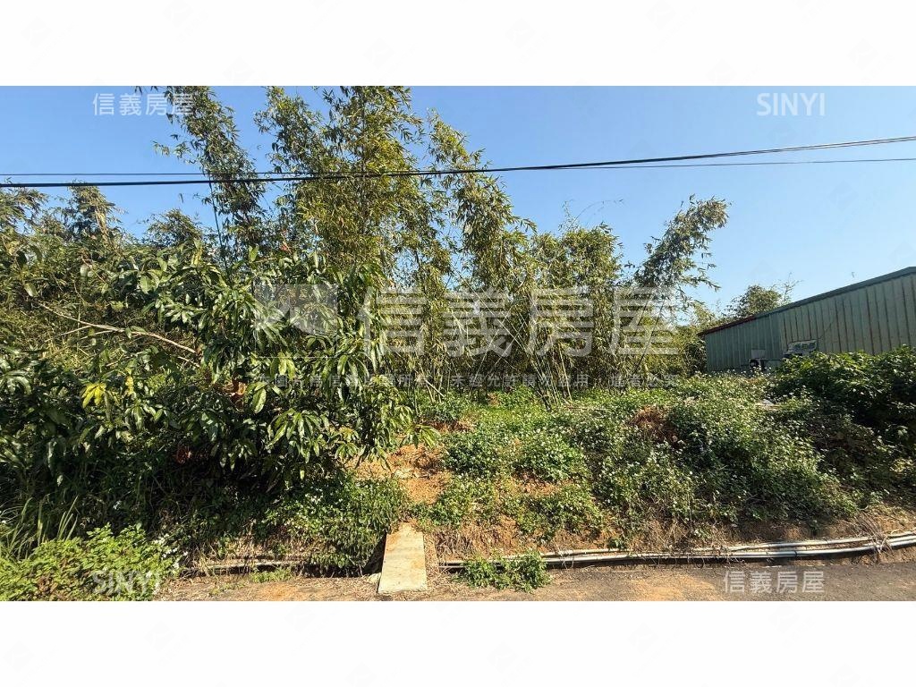 北屯都計內大地坪美農地房屋室內格局與周邊環境