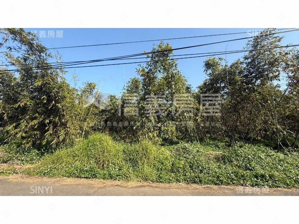 北屯都計內大地坪美農地房屋室內格局與周邊環境
