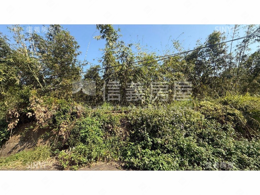 北屯都計內大地坪美農地房屋室內格局與周邊環境