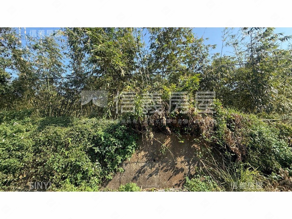 北屯都計內大地坪美農地房屋室內格局與周邊環境