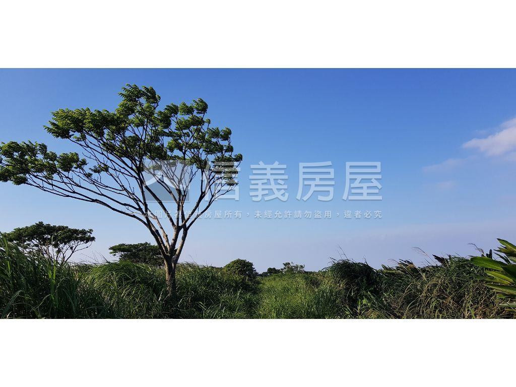 三芝臨隆山路土地房屋室內格局與周邊環境