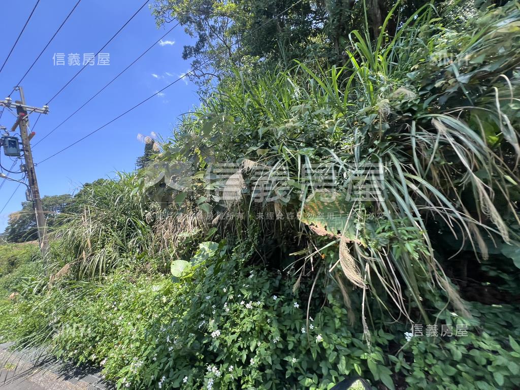 陽明山新安段土地房屋室內格局與周邊環境