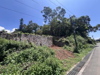 陽明山新安段土地