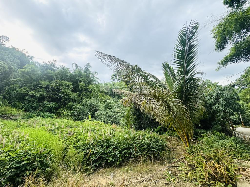 新化約2100坪有路土地房屋室內格局與周邊環境