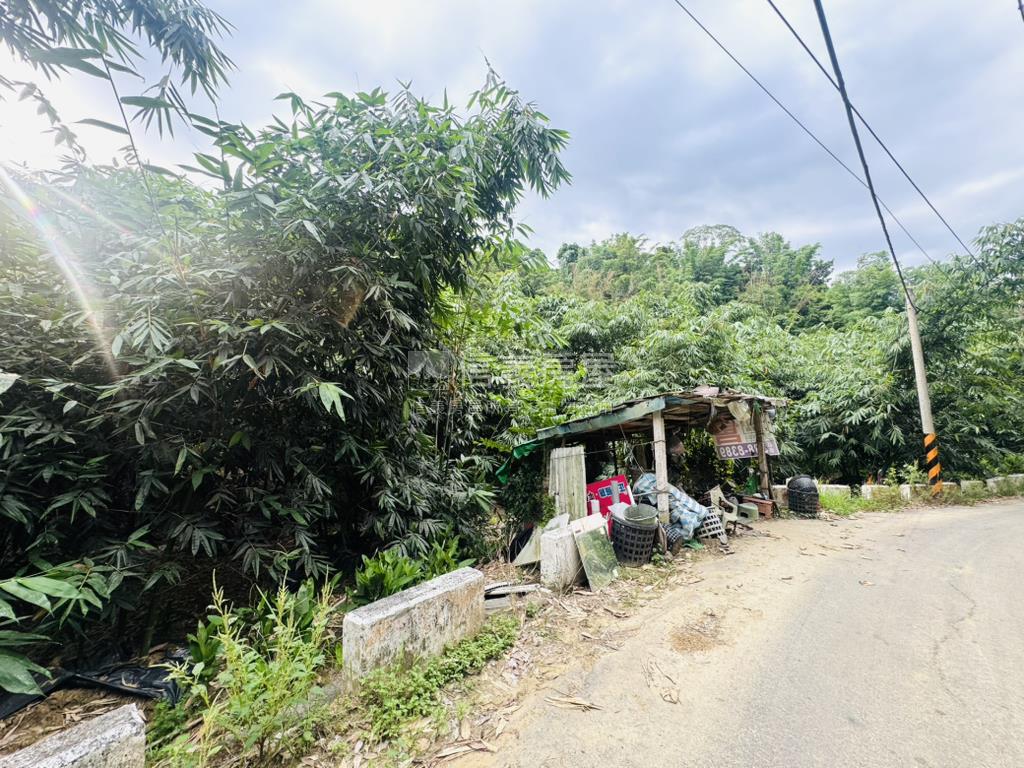 新化約2100坪有路土地房屋室內格局與周邊環境