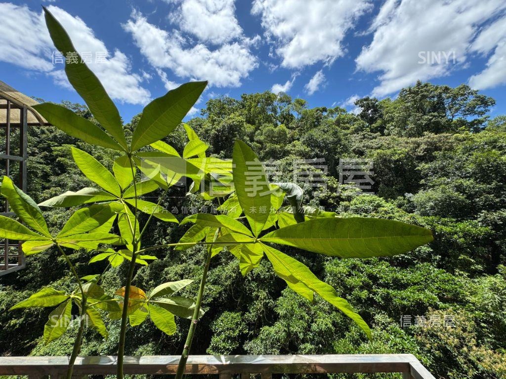 綠意盎然＊東方桂冠喜成家房屋室內格局與周邊環境