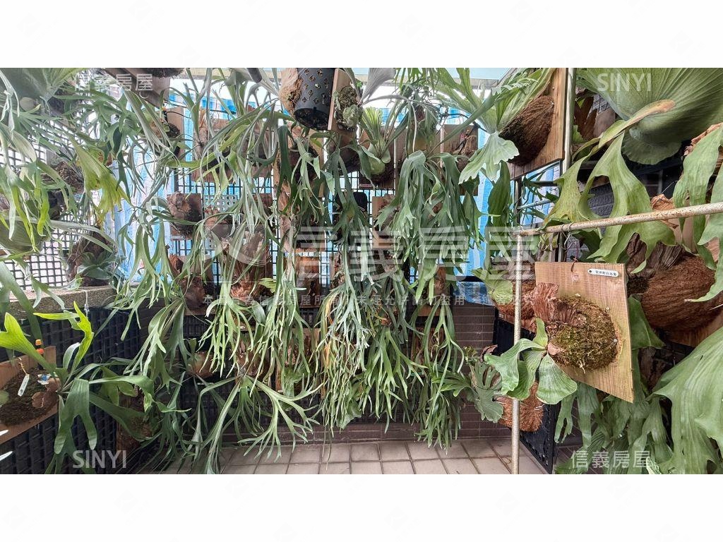 決心處理！！東區震後透天房屋室內格局與周邊環境