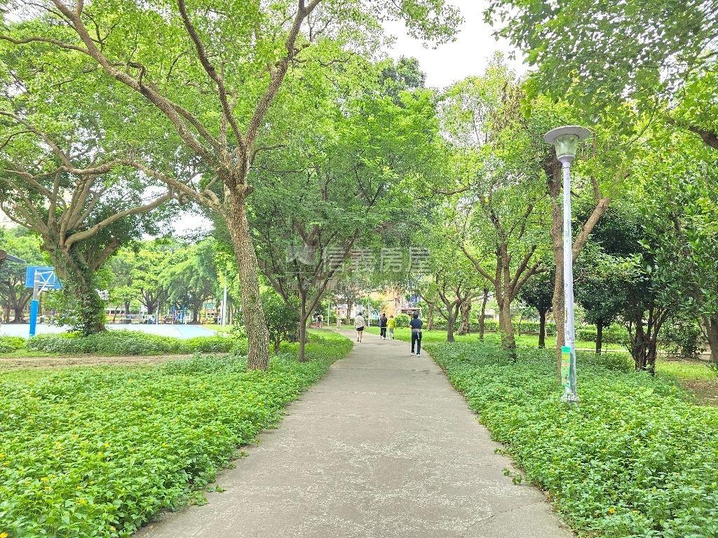 萬板路一樓屋況美免整理房屋室內格局與周邊環境