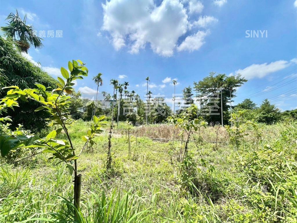 【有水有電】交流道旁農地房屋室內格局與周邊環境