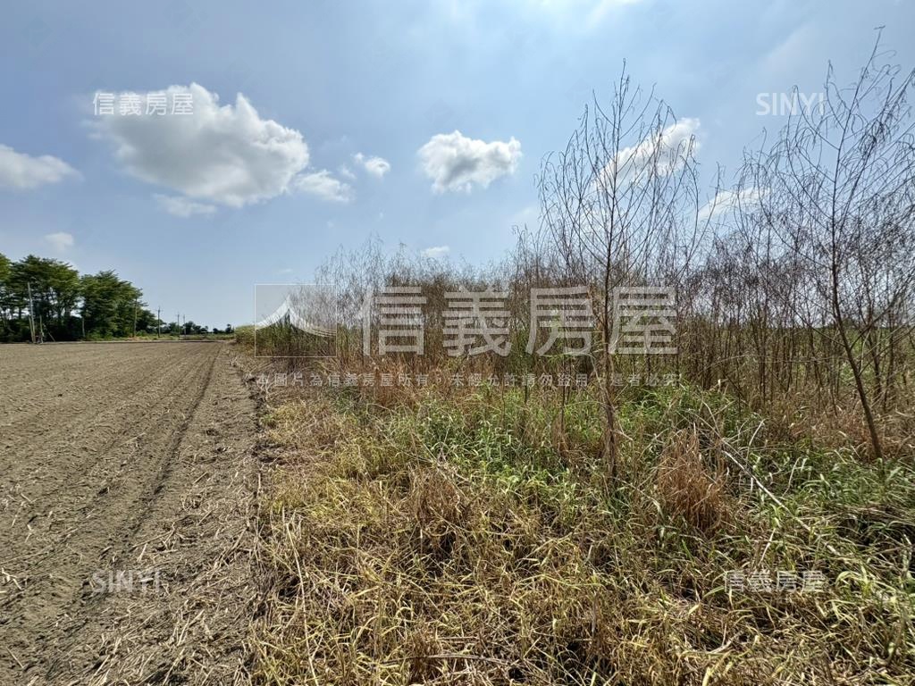 西港蔗香２分農地房屋室內格局與周邊環境