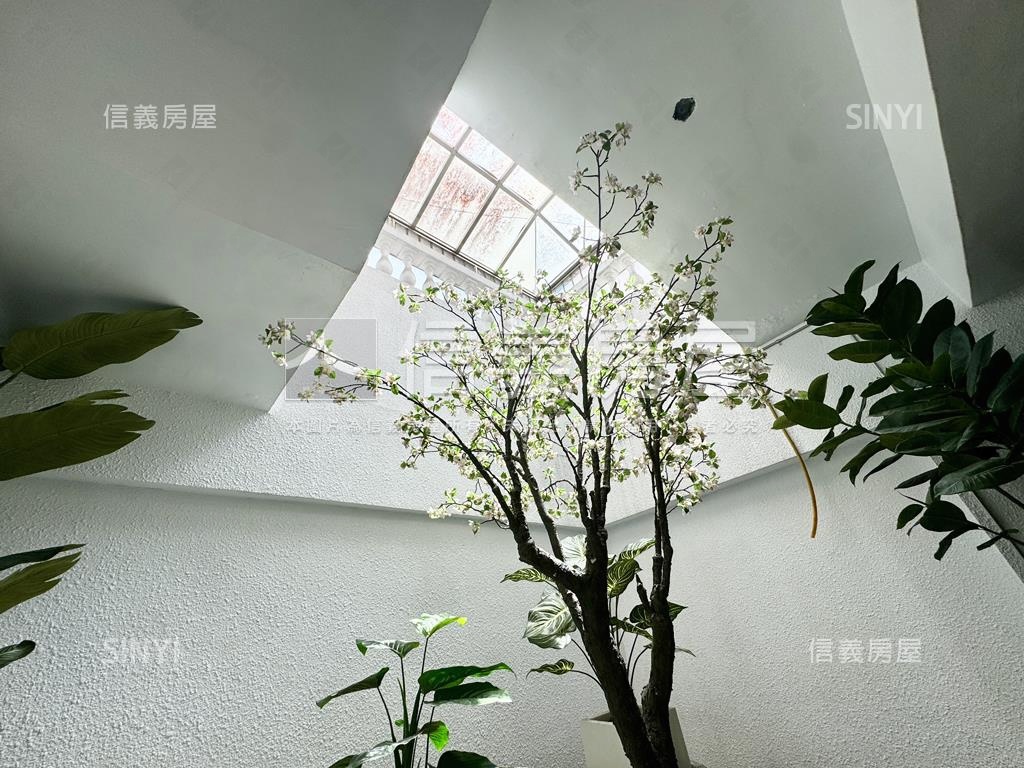 信義★頂級樓中樓小豪宅房屋室內格局與周邊環境