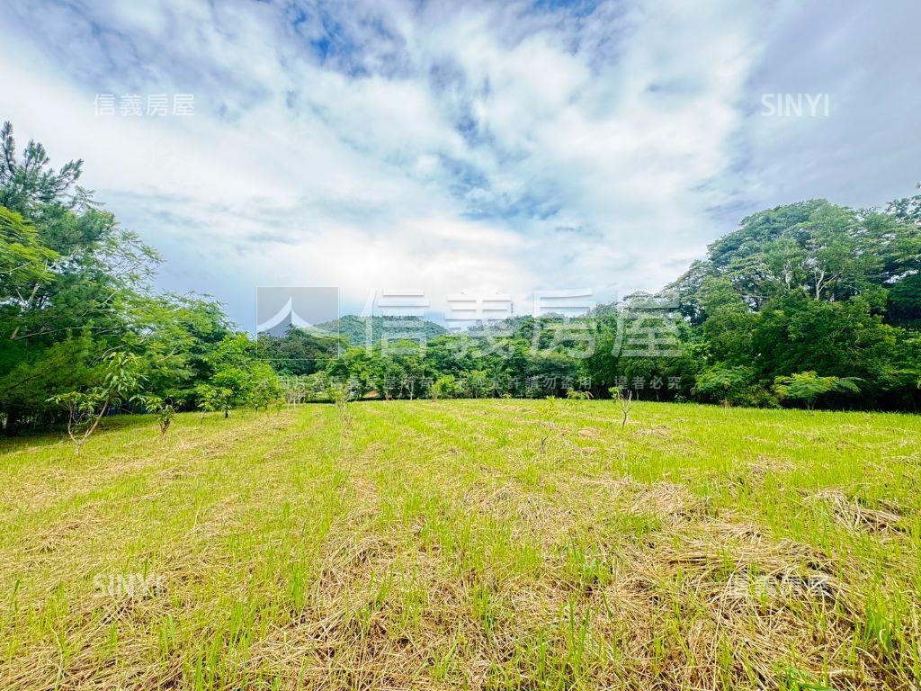 大溪區千坪方正土地房屋室內格局與周邊環境