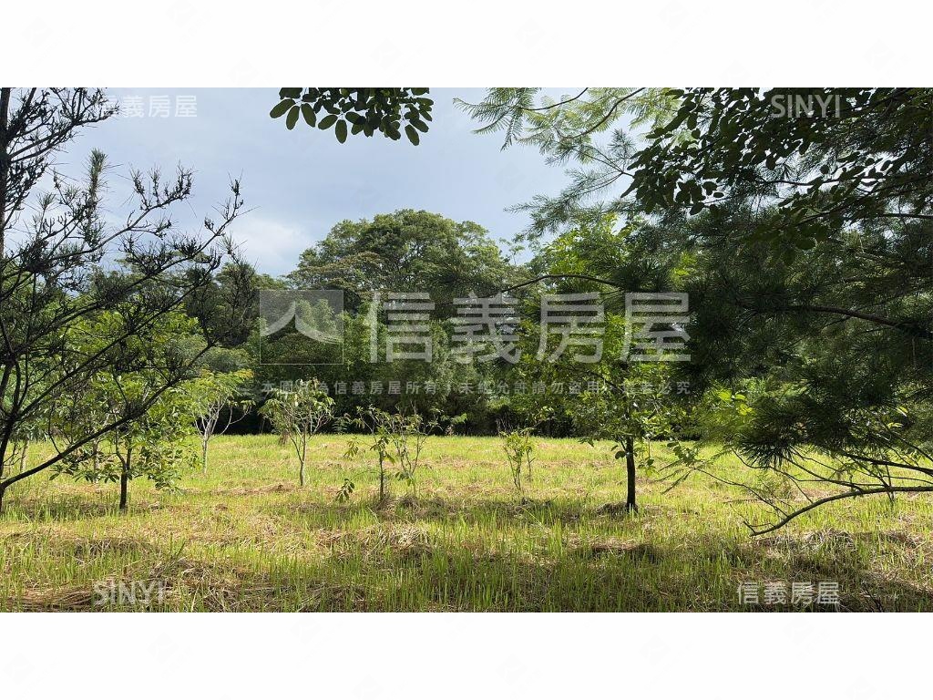 大溪區千坪方正土地房屋室內格局與周邊環境