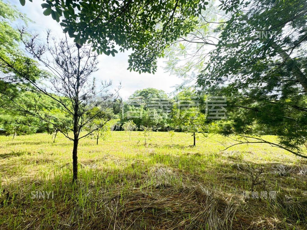 大溪區千坪方正土地房屋室內格局與周邊環境
