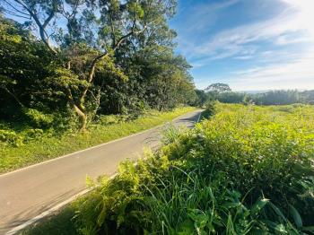 農家樂農牧用地