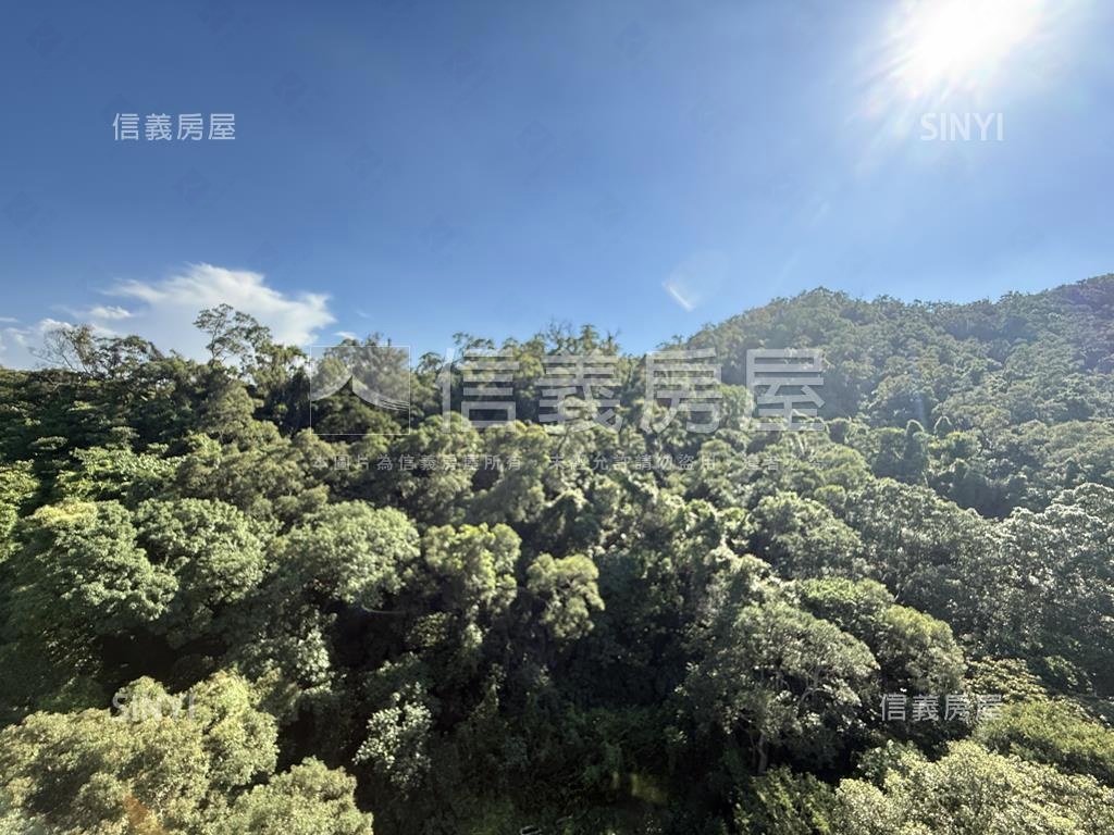帝王高樓綠意景觀森大直房屋室內格局與周邊環境