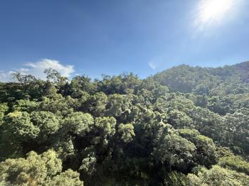 帝王高樓綠意景觀森大直