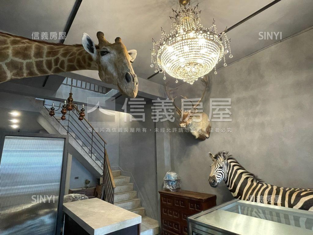 美術館精緻裝修質感透天房屋室內格局與周邊環境