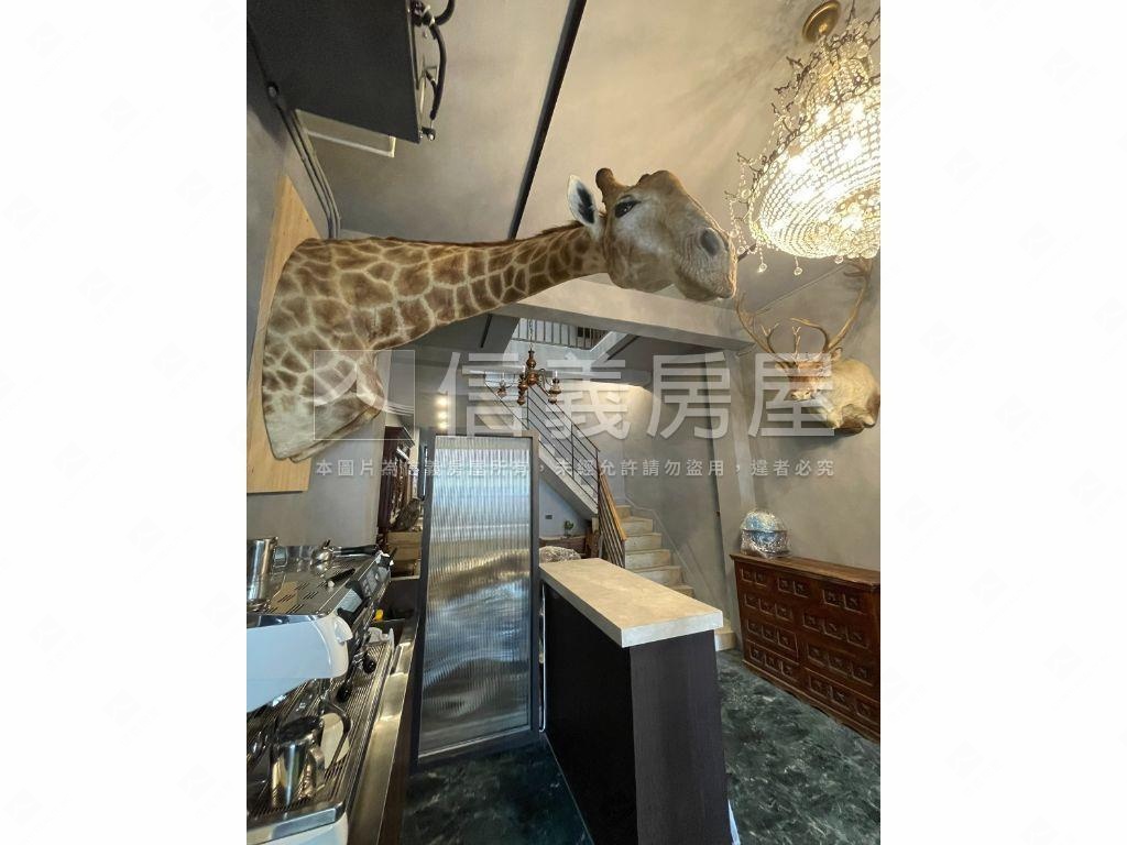 美術館精緻裝修質感透天房屋室內格局與周邊環境