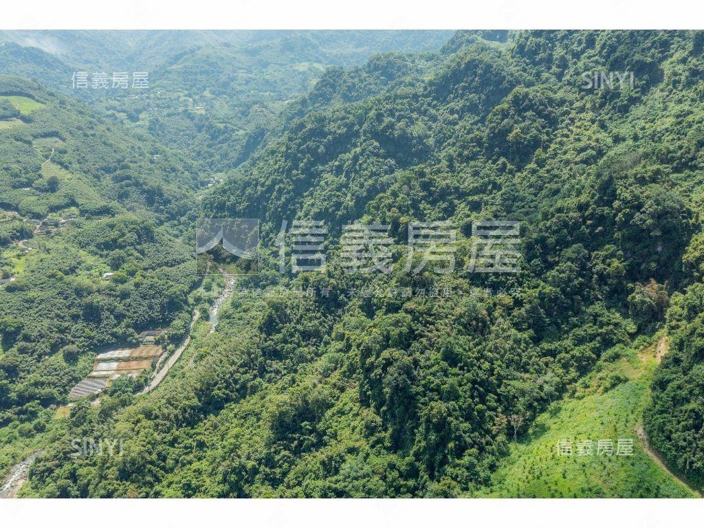 大湖段７６２－１１５林業房屋室內格局與周邊環境