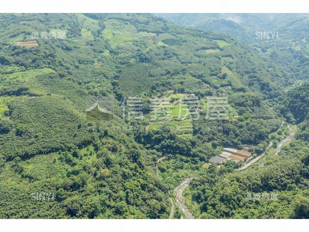 大湖段７６２－１１５林業房屋室內格局與周邊環境