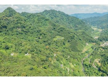 大湖段７６２－１１５林業