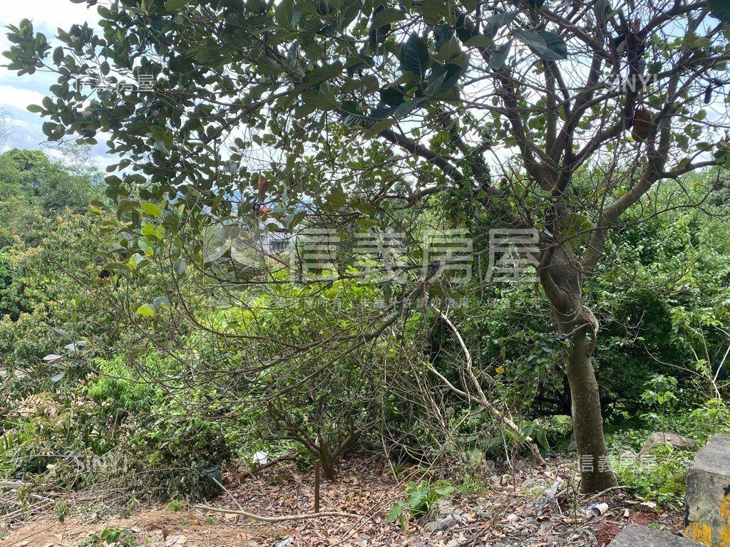 北投區住宅區土地房屋室內格局與周邊環境