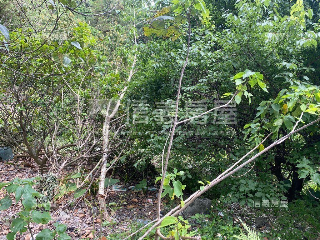 北投區住宅區土地房屋室內格局與周邊環境