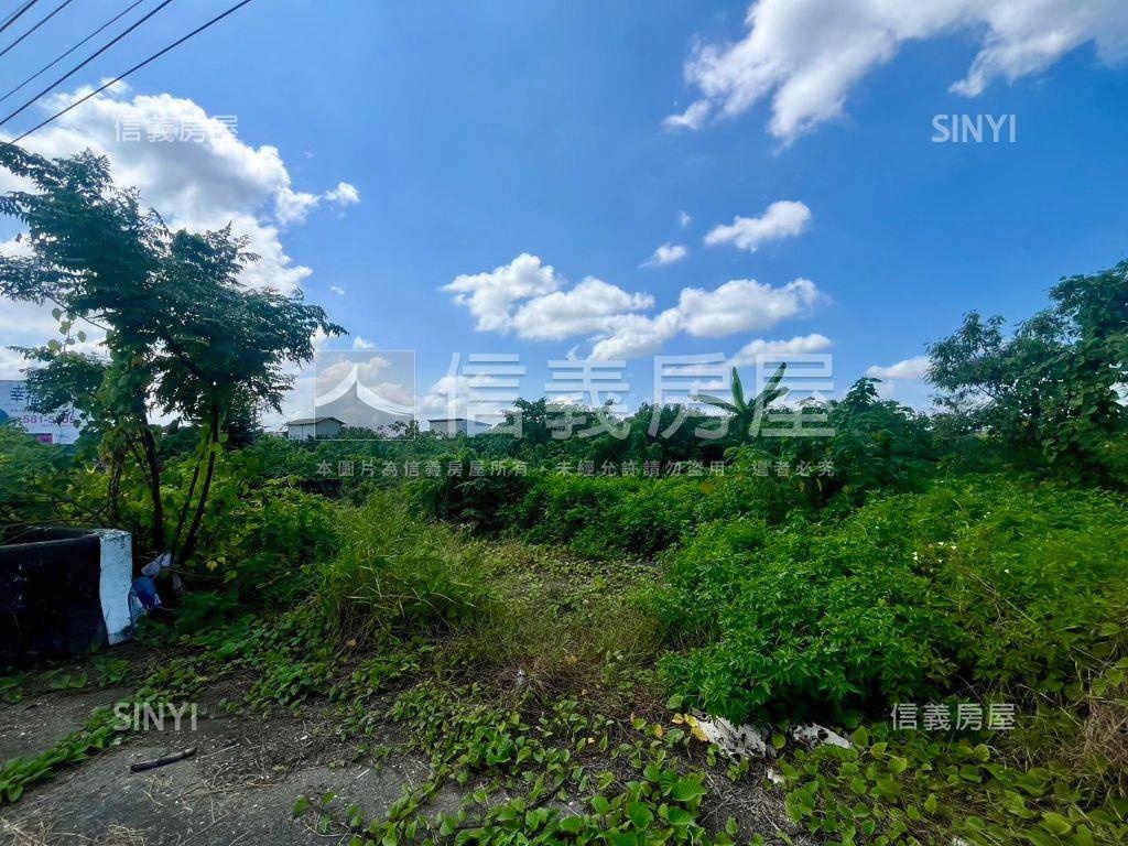 省道旁～善化非都農地房屋室內格局與周邊環境