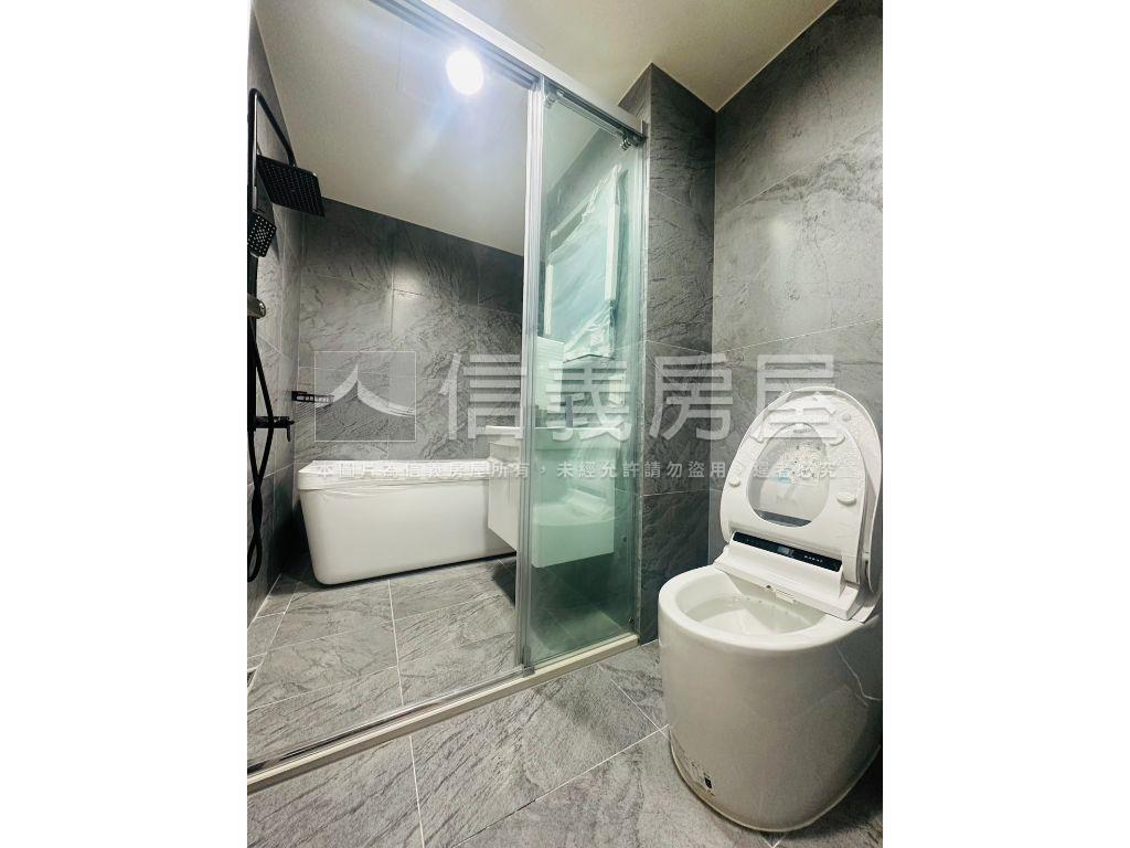 全新美術水公園全兩房平車房屋室內格局與周邊環境