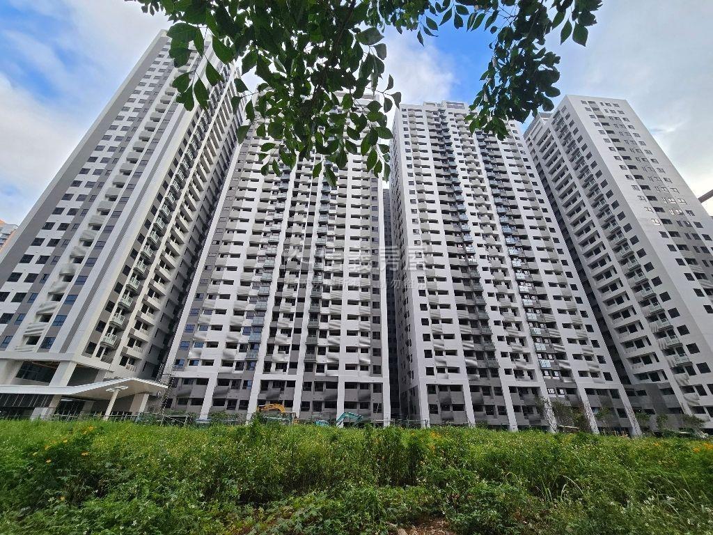 小資圓夢的夢想之大亮泊房屋室內格局與周邊環境