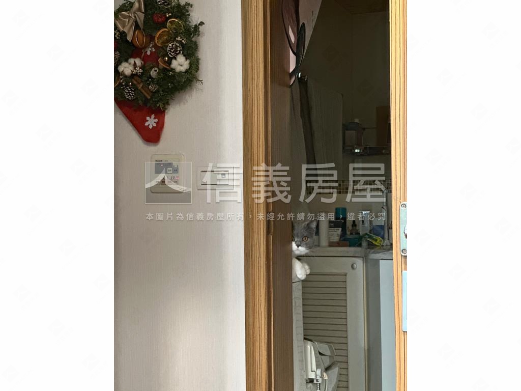 水事紀綠山景觀兩房車位房屋室內格局與周邊環境