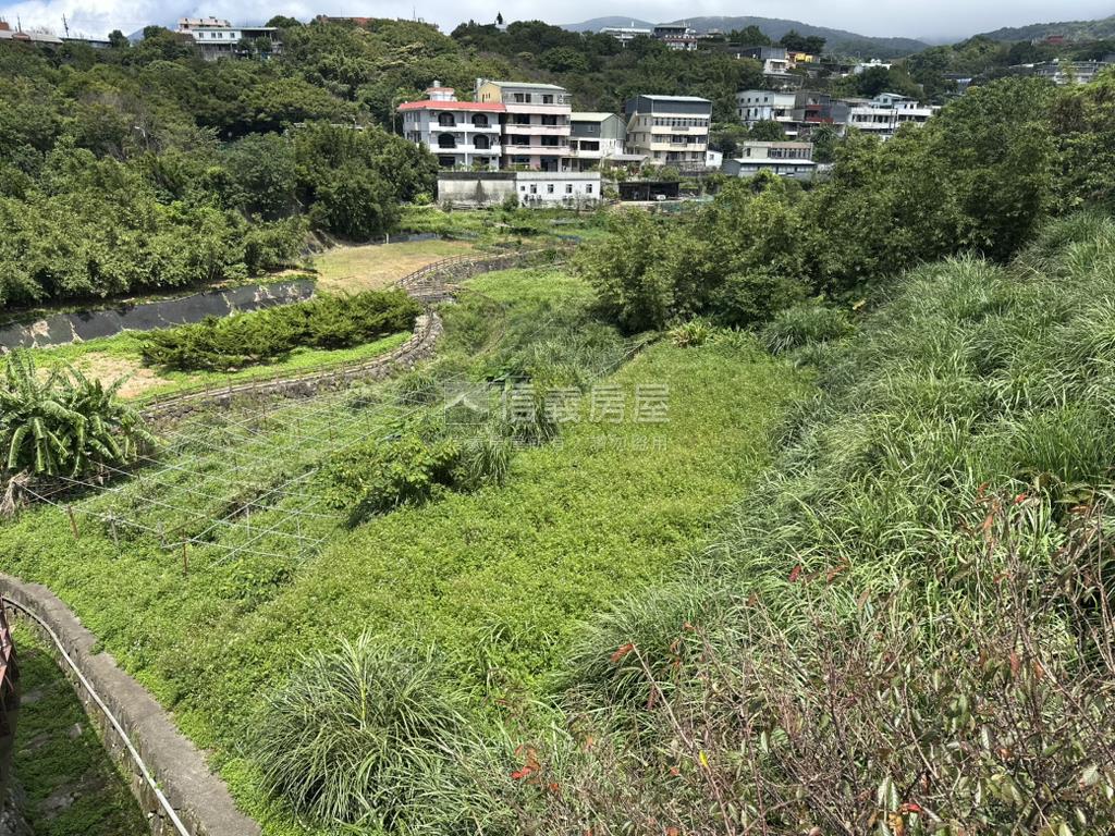 平菁街６１６坪，平坦土地房屋室內格局與周邊環境