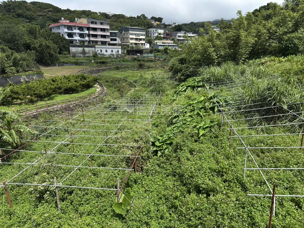 平菁街６１６坪，平坦土地房屋室內格局與周邊環境
