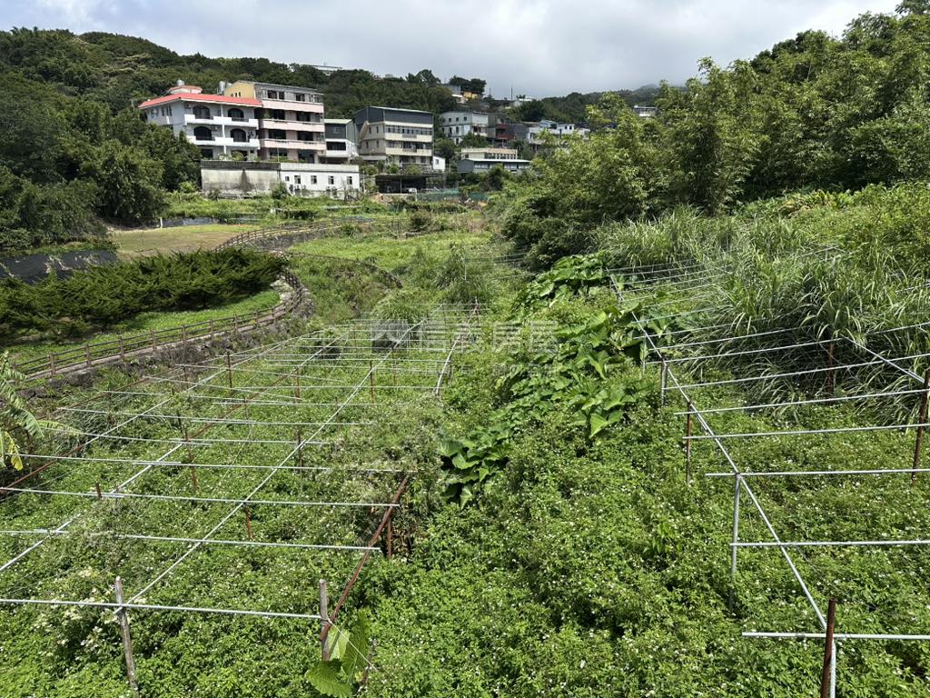 平菁街６１６坪，平坦土地房屋室內格局與周邊環境