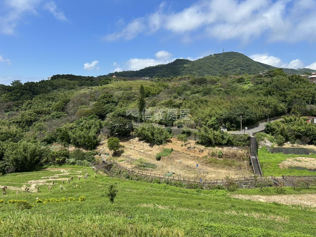 平菁街６１６坪，平坦土地房屋室內格局與周邊環境