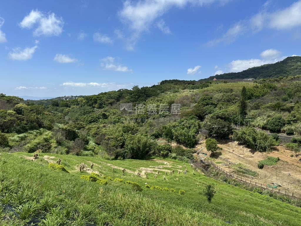 平菁街６１６坪，平坦土地房屋室內格局與周邊環境