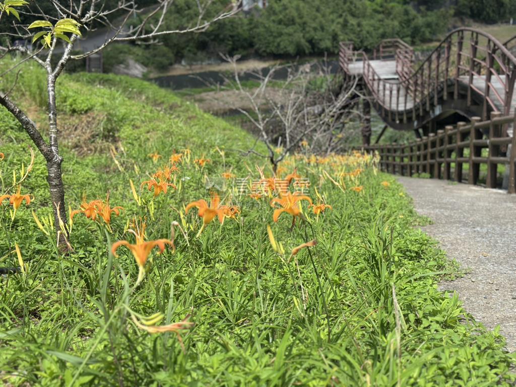 平菁街６１６坪，平坦土地房屋室內格局與周邊環境