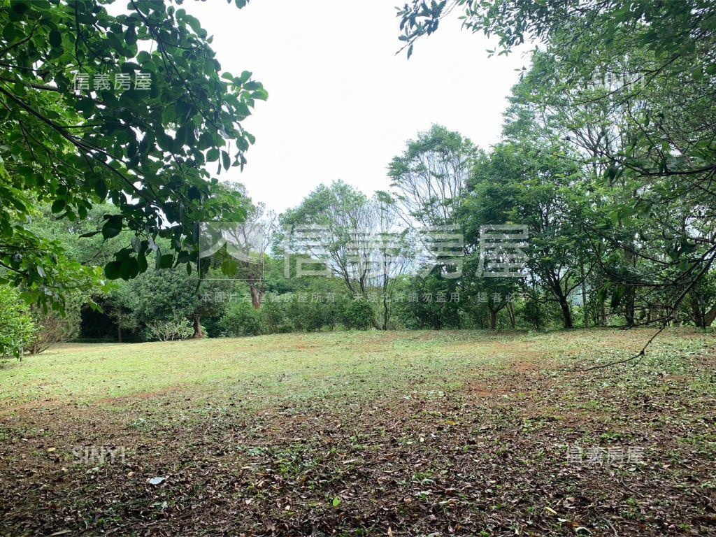 千坪雙面臨路櫻花大農地房屋室內格局與周邊環境