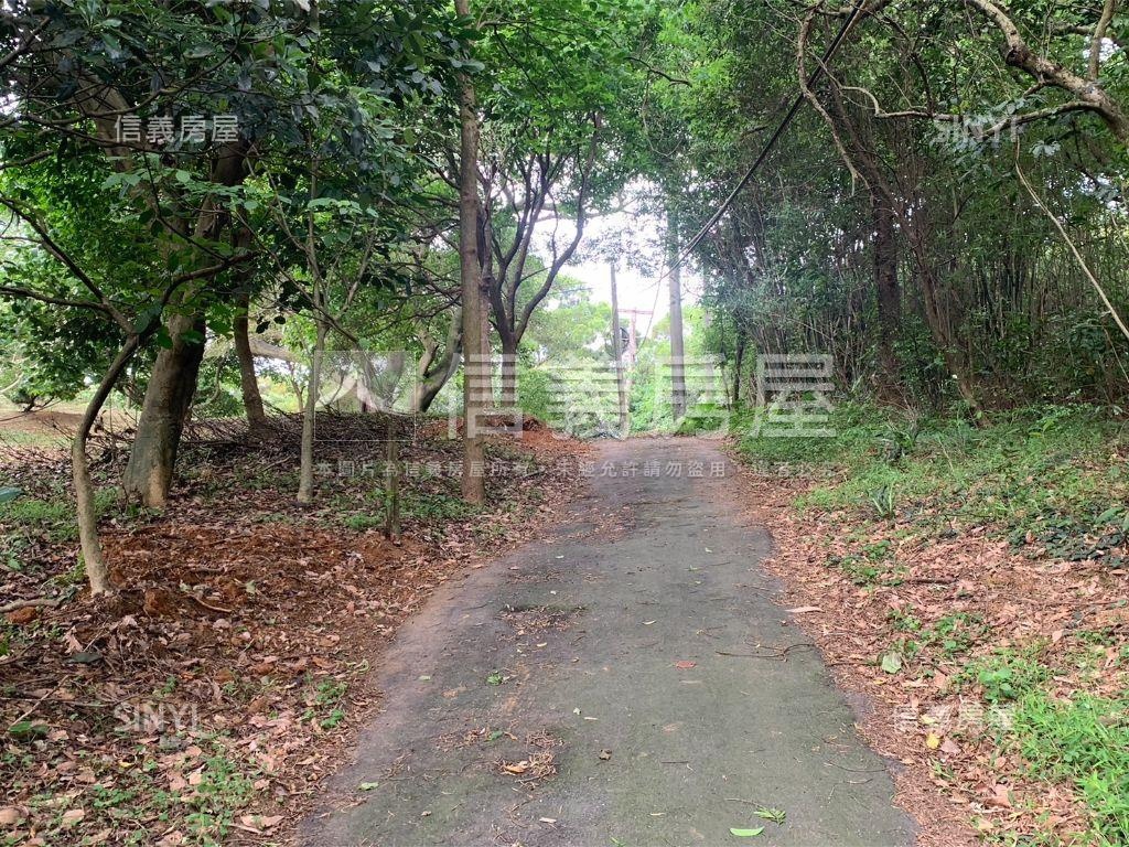 千坪雙面臨路櫻花大農地房屋室內格局與周邊環境