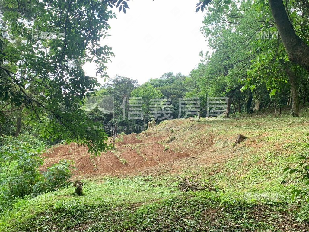 千坪雙面臨路櫻花大農地房屋室內格局與周邊環境